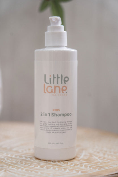 Little Lane 2in1