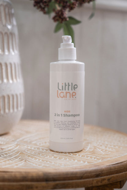 Little Lane 2in1